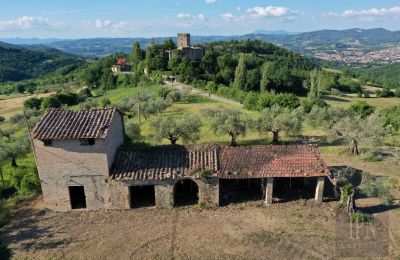 Biens historiques, Polgeto Olive Barn Project