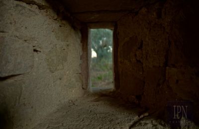 Maison de campagne à vendre 06019 Umbertide, Ombrie, Image 7/14