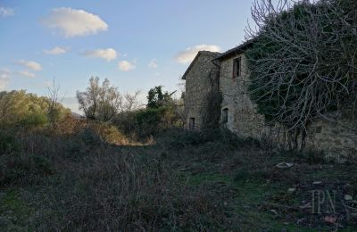 Maison de campagne à vendre 06073 Corciano, Ombrie, Image 26/42