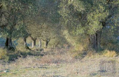 Maison de campagne à vendre 06073 Corciano, Ombrie, Image 32/42
