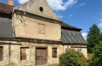 Demeure historique à vendre Przecław, Lubusz,, Vue frontale