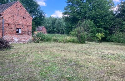 Demeure historique à vendre Przecław, Lubusz,, Terrain