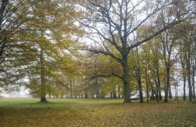 Parc historique à vendre Skorki, Mazovie,, Image 5/6