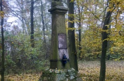 Parc historique à vendre Skorki, Mazovie,, Image 6/6