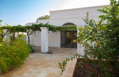 Maison de campagne à vendre Ostuni, Strada Provinciale 21, Pouilles, Image 31/33