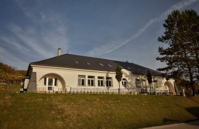 Manoir à vendre Trenčiansky kraj, okres Trenčín, Melčice - Lieskové, Melčice, Západné Slovensko, Image 26/27