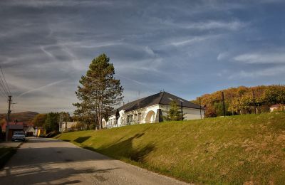 Manoir à vendre Trenčiansky kraj, okres Trenčín, Melčice - Lieskové, Melčice, Západné Slovensko, Image 9/27