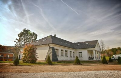 Manoir à vendre Trenčiansky kraj, okres Trenčín, Melčice - Lieskové, Melčice, Západné Slovensko, Image 4/27