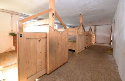 Maison de campagne à vendre 91788 Pappenheim, Bavière, Boxes pour chevaux