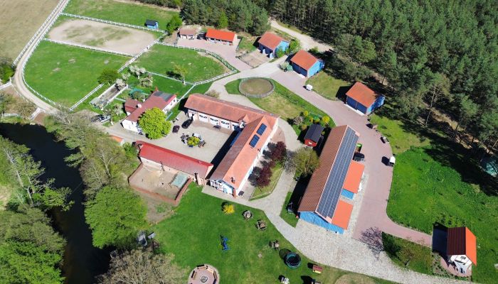 Manoir à vendre Krzyż Wielkopolski, Grande-Pologne,  Pologne