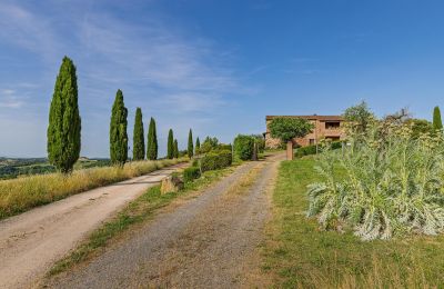 Maison de campagne à vendre Montalcino, Toscane, Image 11/26