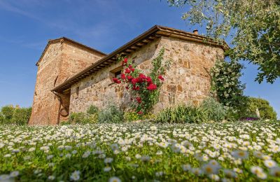 Maison de campagne à vendre Montalcino, Toscane, Image 14/26