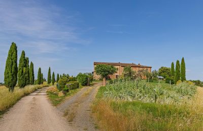 Maison de campagne à vendre Montalcino, Toscane, Image 8/26