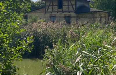 Manoir à vendre 17139 Malchin, Mecklembourg-Poméranie-Occidentale, Federviehhaus am See