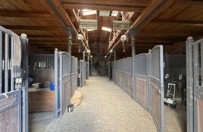 Maison de campagne à vendre Poméranie occidentale, Image 10/26