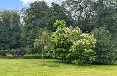 Maison de campagne à vendre Poméranie occidentale, Image 23/26