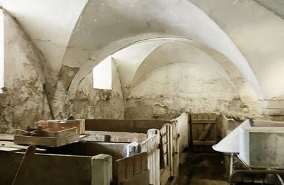 Propriété historique à vendre 94152 Vornbach, Schauerödstraße 2+4, Bavière, Image 7/21