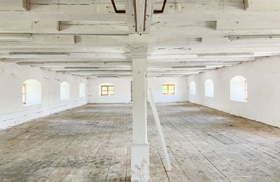 Propriété historique à vendre 94152 Vornbach, Schauerödstraße 2+4, Bavière, Image 8/21