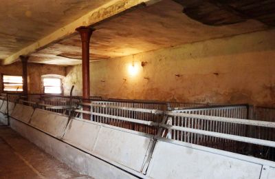 Propriété historique à vendre 94152 Vornbach, Schauerödstraße 2+4, Bavière, Image 11/21