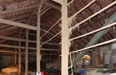 Propriété historique à vendre 94152 Vornbach, Schauerödstraße 2+4, Bavière, Image 13/21