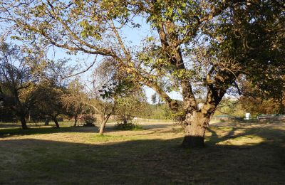 Propriété historique à vendre 94152 Vornbach, Schauerödstraße 2+4, Bavière, Image 21/21