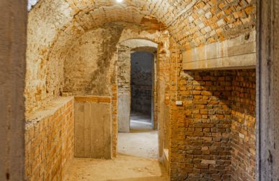 Château à vendre Luberadz, Mazovie, Cave