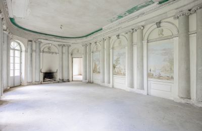 Château à vendre Luberadz, Mazovie, Image 6/33