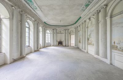 Château à vendre Luberadz, Mazovie, Salle de bal