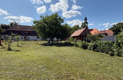 Manoir à vendre 67-120 Broniszów, Lubusz, Jardin