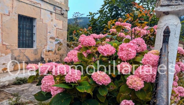  Araba/Álava, Ayala/Aiara, Ayala / Aiara, Llanteno 2