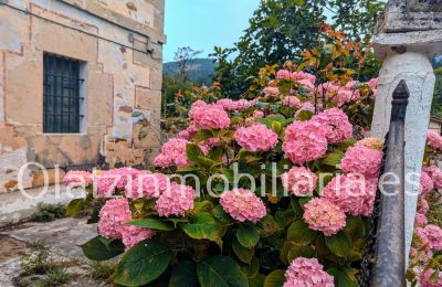 Manoir à vendre Araba/Álava, Ayala/Aiara, Ayala / Aiara, Llanteno, Pays basque, Image 2/29