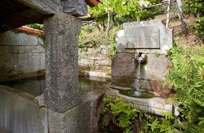Propriété historique à vendre Gondomar, Galice, Jardin