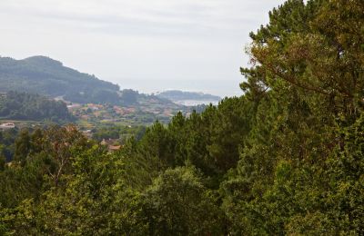 Propriété historique à vendre Gondomar, Galice, Image 41/48