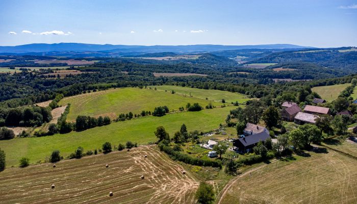 Maison de campagne à vendre Tarczyn, Basse-Silésie,  Pologne, 4