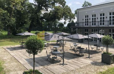 Manoir à vendre Ojrzanów, Pałac w Ojrzanowie, Mazovie, Image 9/18