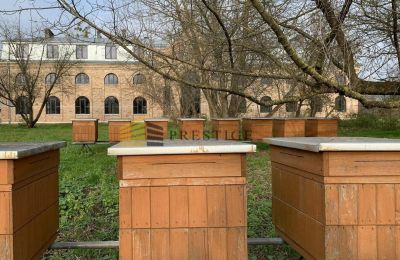 Manoir à vendre Ojrzanów, Pałac w Ojrzanowie, Mazovie, Image 14/18