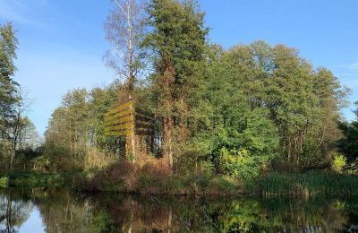 Manoir à vendre Ojrzanów, Pałac w Ojrzanowie, Mazovie, Parc