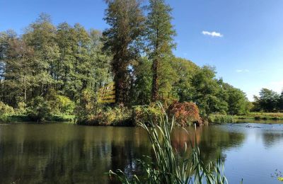 Manoir à vendre Ojrzanów, Pałac w Ojrzanowie, Mazovie, Parc