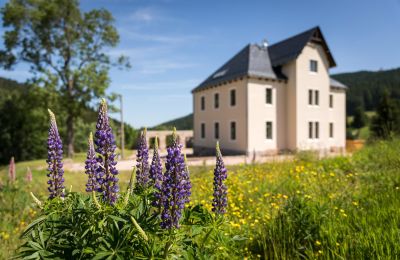 Manoir à vendre 08309 Eibenstock, Saxe,, Image 5/6