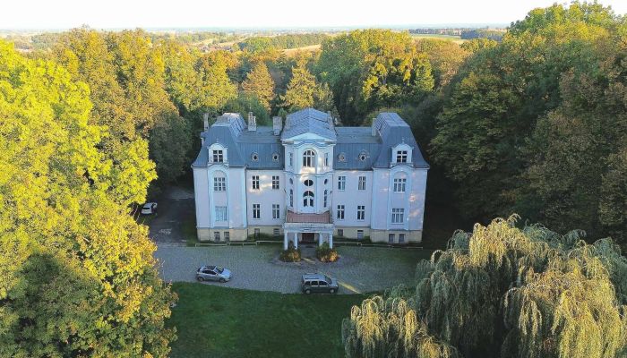 Château à vendre Zakrzów, Opole,  Pologne