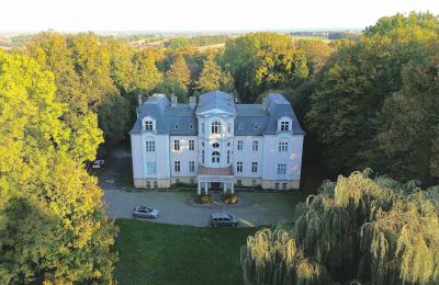 Biens historiques, Manoir néorenaissance en Haute-Silésie sur un parc de 9 hectares
