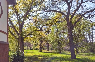 Château à vendre 14715 Schollene, Saxe-Anhalt, Terrain