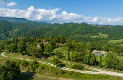 Maison de campagne à vendre Anghiari, Toscane, Image 2/38