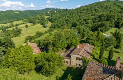 Maison de campagne à vendre Anghiari, Toscane, Image 3/38