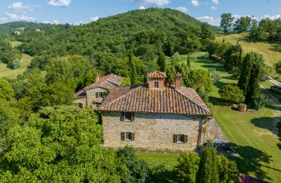 Maison de campagne à vendre Anghiari, Toscane, Image 6/38