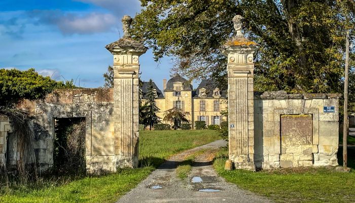 Château à vendre Thouars, Nouvelle-Aquitaine,  France