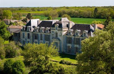 Château à vendre Thouars, Nouvelle-Aquitaine, Image 1/19