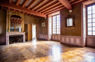 Château à vendre Thouars, Nouvelle-Aquitaine, Image 9/19