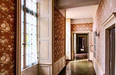 Château à vendre Thouars, Nouvelle-Aquitaine, Image 15/19