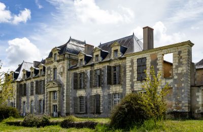 Château à vendre Thouars, Nouvelle-Aquitaine, Image 4/19